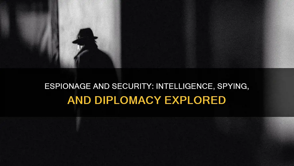 what is espionage diplomacy security intelligence spying