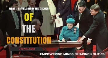 Understanding the Constitution's Core Principles