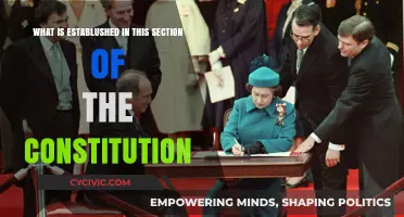 The Constitution's Established Principles