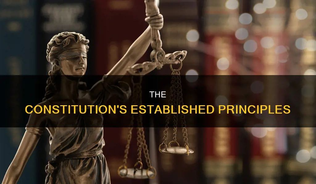 what is establushed in this section of the constitution