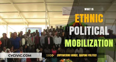 Understanding Ethnic Political Mobilization: Strategies, Impact, and Global Examples