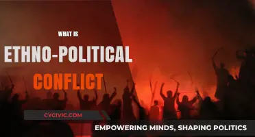 Understanding Ethno-Political Conflict: Causes, Dynamics, and Global Implications