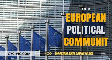 Understanding the European Political Community: Structure, Goals, and Impact