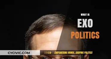 Exploring Exo Politics: Understanding Extraterrestrial Influence on Global Affairs