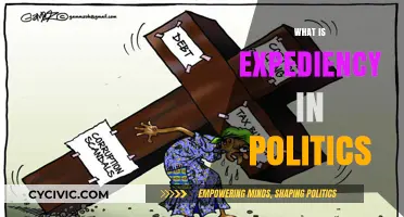 Understanding Political Expediency: Balancing Pragmatism and Principles in Governance