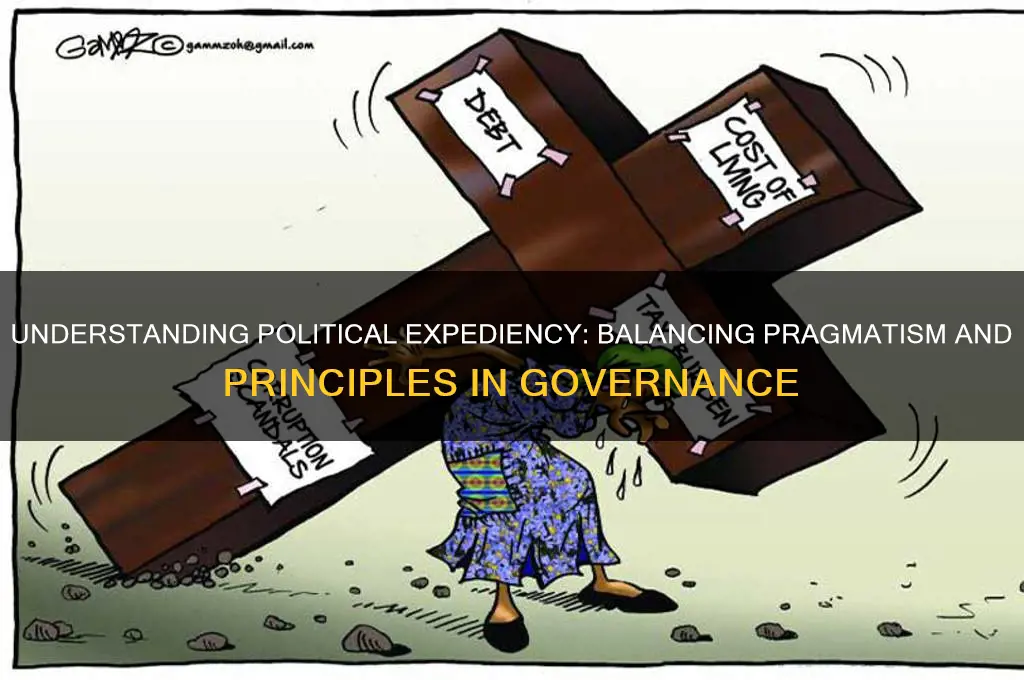 what is expediency in politics