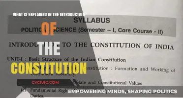 The Constitution's Introduction: Our Nation's Founding Principles