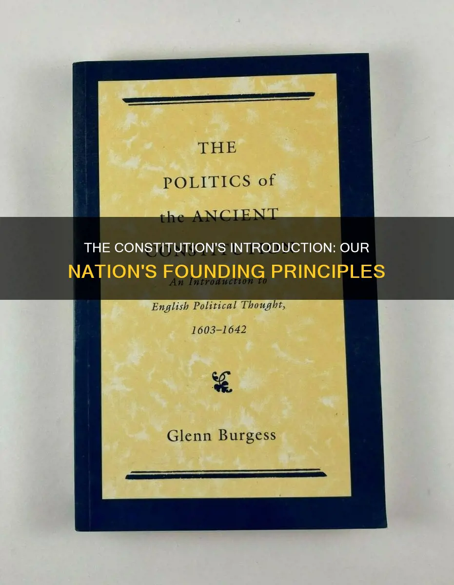 what is explained in the introduction of the constitution