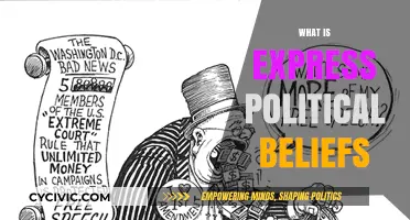 Expressing Political Beliefs: Understanding Free Speech and Civic Engagement