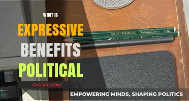 Expressive Benefits in Politics: Understanding Their Role and Impact