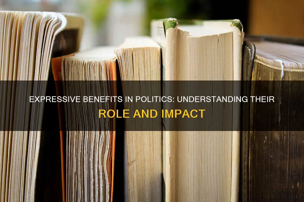 what is expressive benefits political