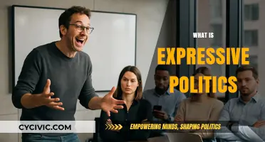 Understanding Expressive Politics: Identity, Emotion, and Public Engagement Explained