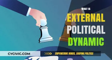 Understanding External Political Dynamics: Global Influences on National Policies