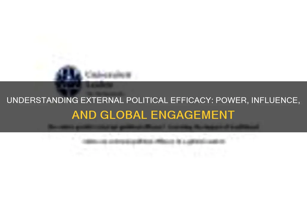 what is external political efficacy