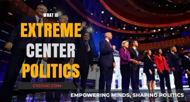 Understanding Extreme Center Politics: A Balanced Approach to Governance
