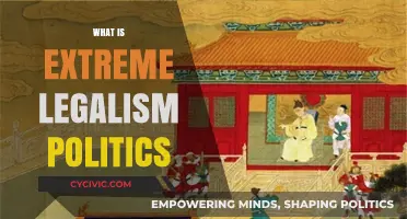 Extreme Legalism in Politics: Understanding Its Impact and Implications