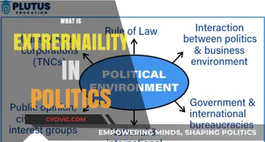 Understanding Externality: Its Impact and Role in Political Decision-Making