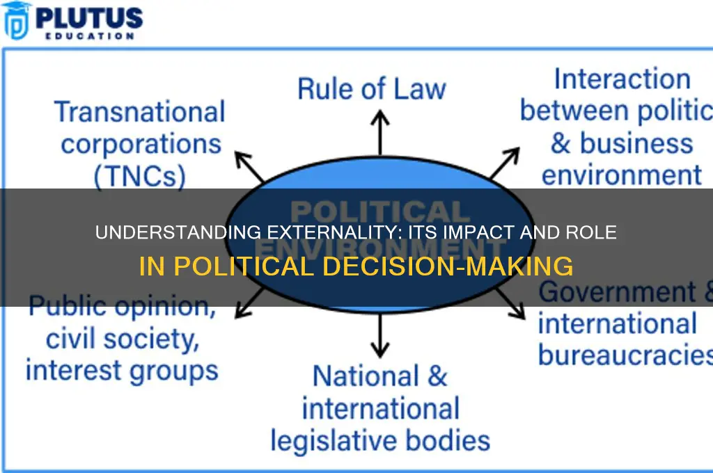 what is extrernaility in politics