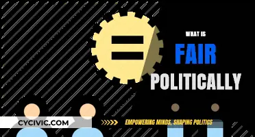 Navigating Political Fairness: Principles, Challenges, and Ethical Governance Explained