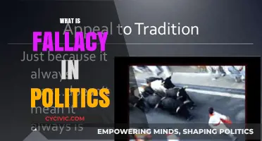 Unmasking Political Fallacies: How Misleading Arguments Shape Public Opinion