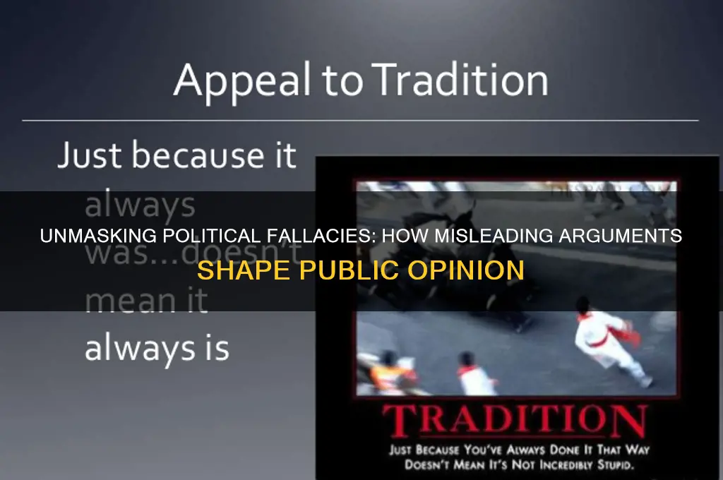 what is fallacy in politics