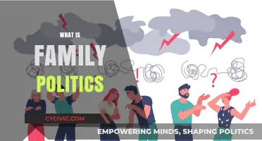 Understanding Family Politics: Dynamics, Influence, and Power in Households