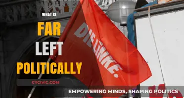 Understanding Far-Left Politics: Ideologies, Goals, and Global Impact Explained