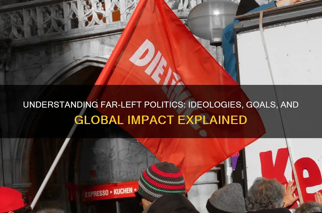 what is far left politically