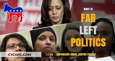 Understanding Far Left Politics: Ideologies, Goals, and Global Impact