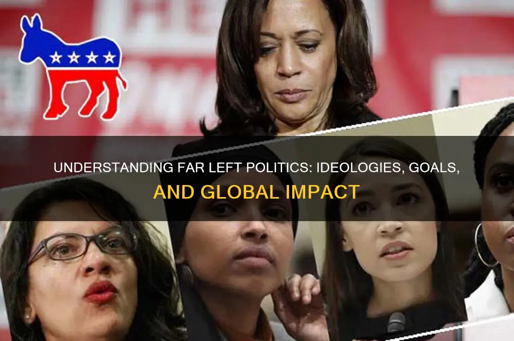 what is far left politics