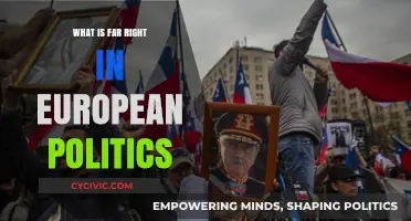 Understanding the Far Right in European Politics: A Comprehensive Guide
