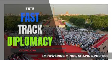 Fast-Track Diplomacy: A Swift Path to International Relations