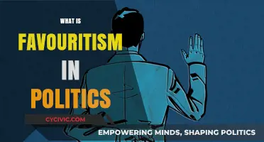 Understanding Political Favoritism: Causes, Consequences, and Impact on Democracy