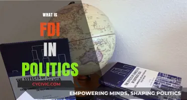 Understanding Foreign Direct Investment's Role in Political Landscapes