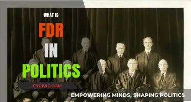 Understanding FDR: Franklin D. Roosevelt's Political Legacy and Impact