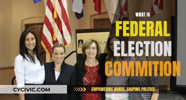 Federal Election Commission: Its Role and Significance