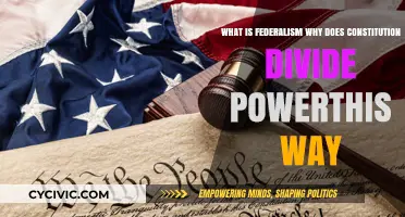 Federalism: Why Divide and Conquer?