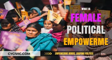 Empowering Women in Politics: Understanding Female Political Empowerment