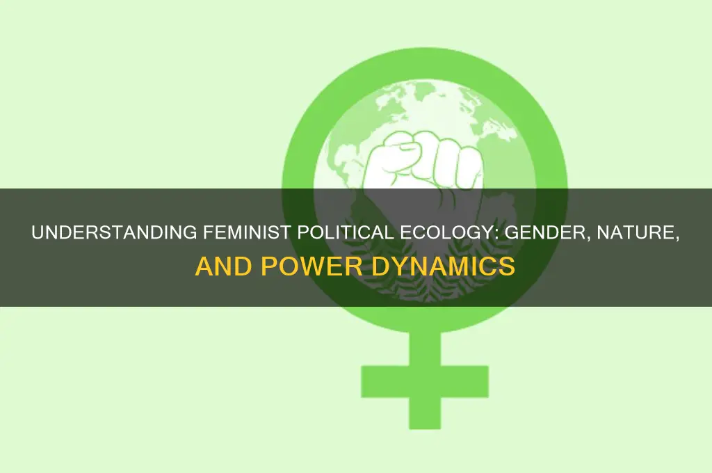 what is feminist political ecology