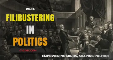 Understanding Filibustering: A Political Tactic to Delay Legislation