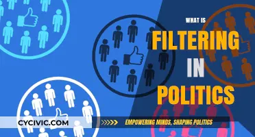 Filtering in Politics: How Information Shapes Public Perception and Power