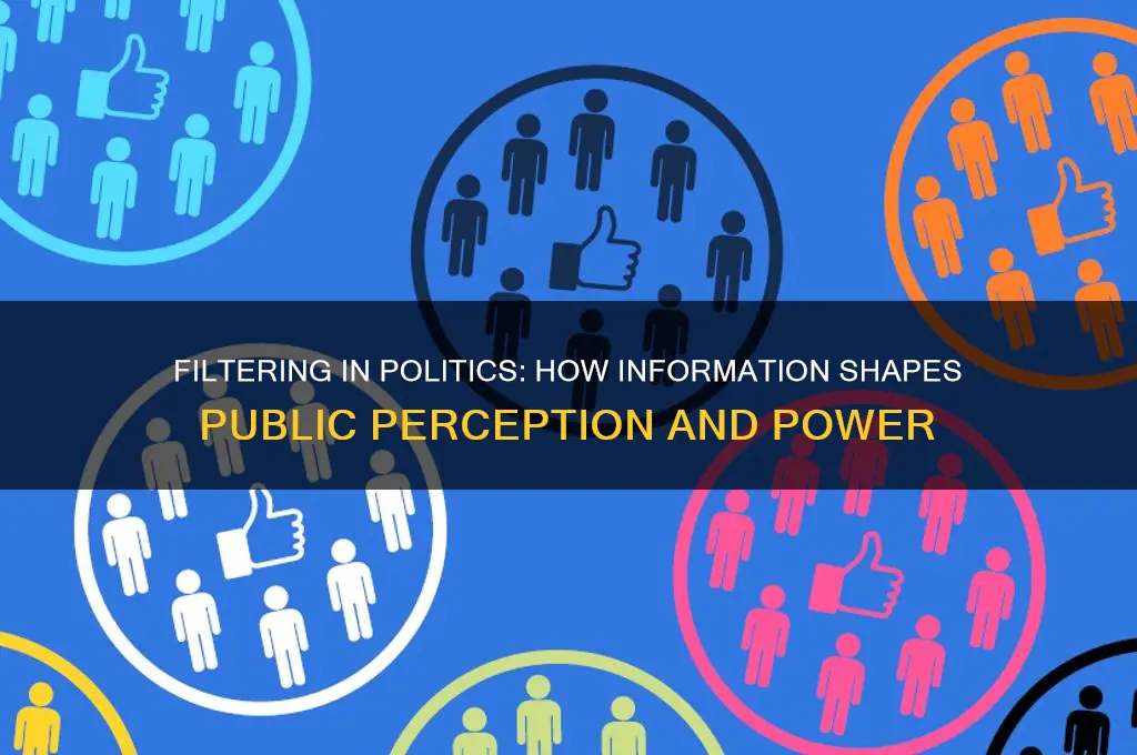 what is filtering in politics