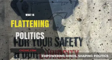 Understanding Flattening Politics: How Digital Media Reshapes Political Landscapes