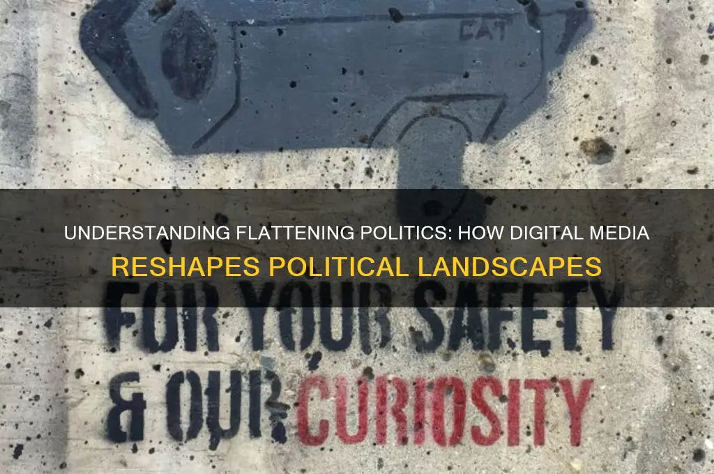 what is flattening politics