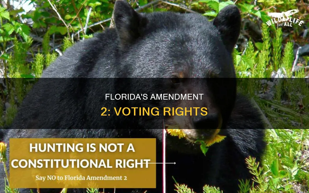 what is florida constitutional amendment 2