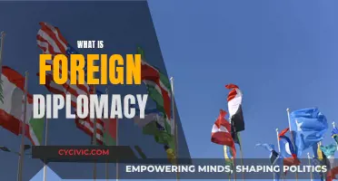 The Art of Foreign Diplomacy: Understanding International Relations