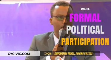 Understanding Formal Political Participation: Roles, Methods, and Civic Engagement