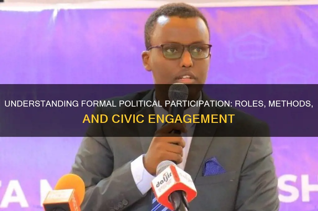 what is formal political participation