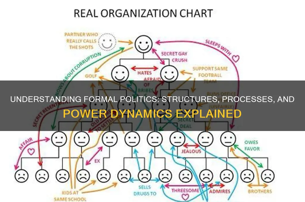 what is formal politics