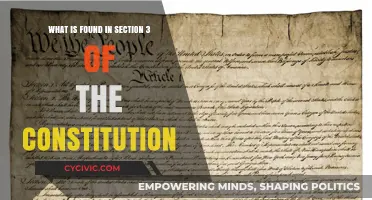 Exploring Constitutional Rights: Section 3 Powers